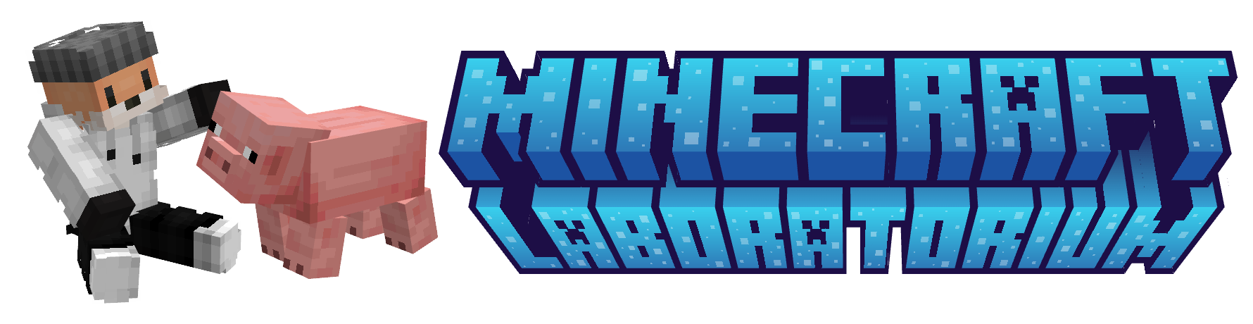 Minecraft labor